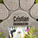 lapida_mascota