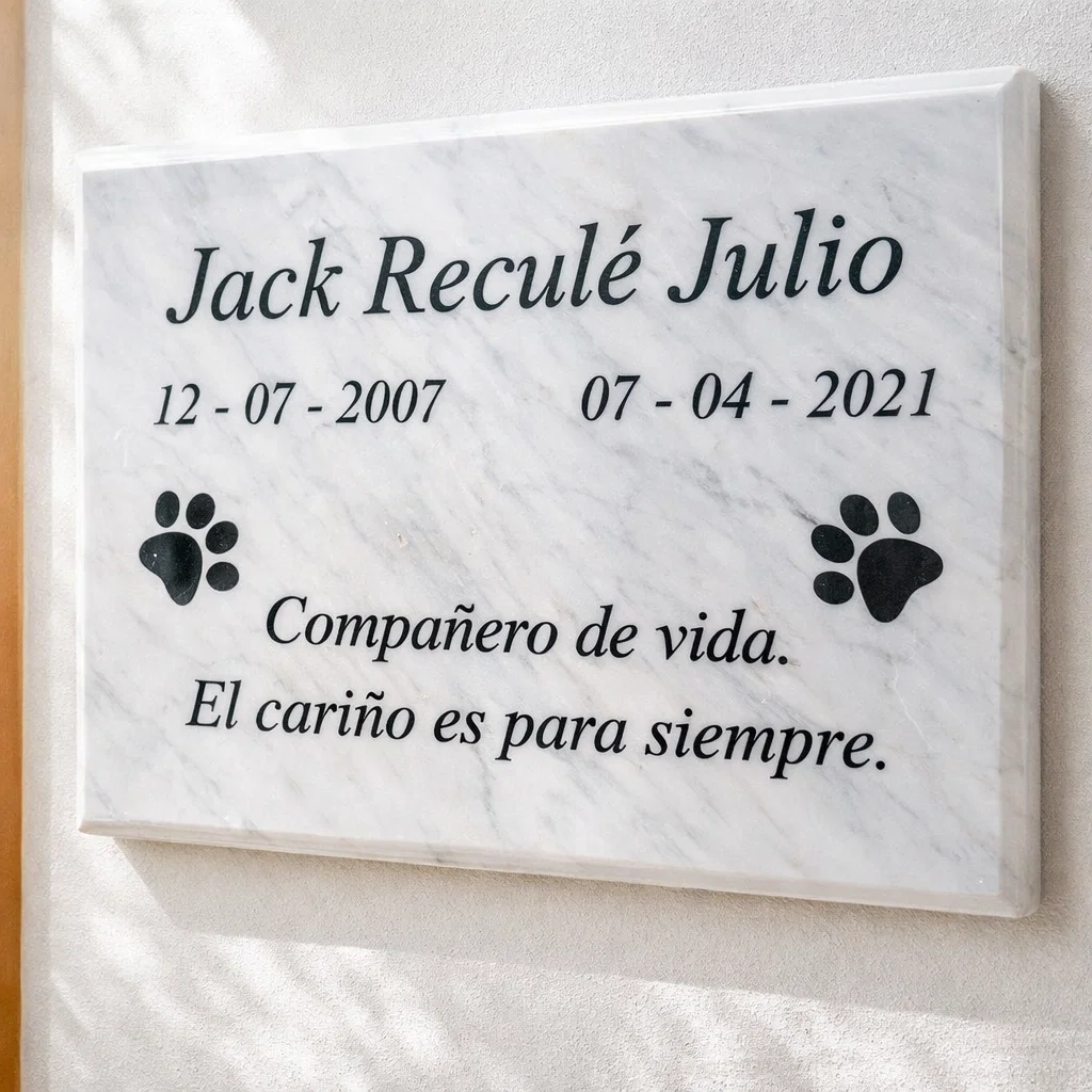 Jack Recule Lapida