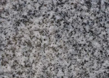 Gris Mara Argentino